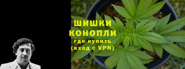 ПСИЛОЦИБИНОВЫЕ ГРИБЫ Аркадак