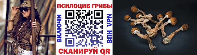 это клад  Спас-Деменск  Псилоцибиновые грибы MAGIC MUSHROOMS 